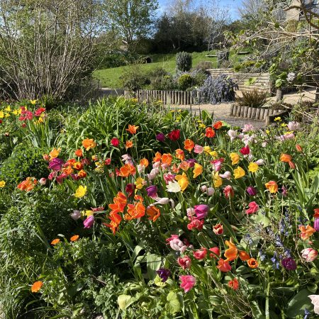 Open Gardens 7th June 2026