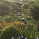 St. Stephen's Millennium Green